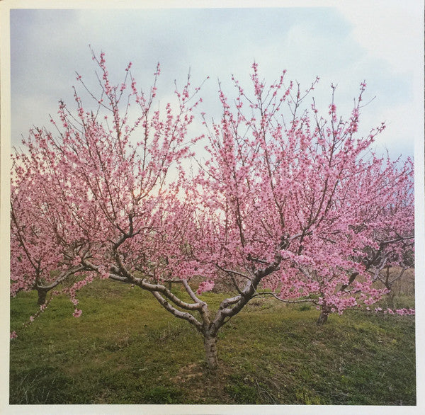Washed Out : Within And Without (LP, Album, Whi)