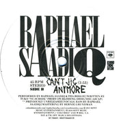 Raphael Saadiq : Radio / Can't Jig Anymore (7", Single)