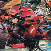 Soundgarden : Superunknown (2xLP, Album, Ltd, Ora)
