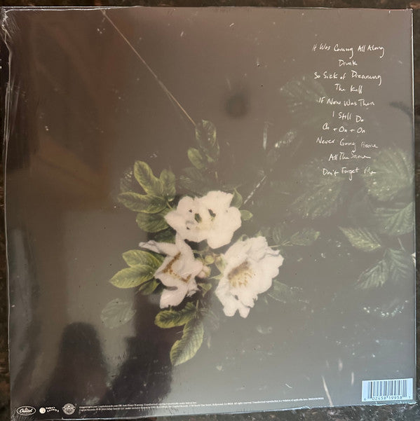 Maggie Rogers : Don't Forget Me (LP, Album, Gre)