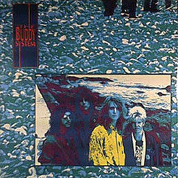 The Buddy System (2) : The Buddy System (LP)