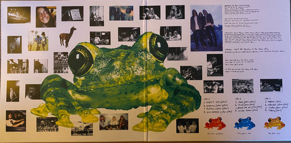 Buy Silverchair : Frogstomp (LP, 180 + LP, S/Sided, Etch