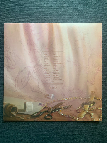 Rainbow Kitten Surprise : Love Hate Music Box (2xLP, Ltd, Bab)
