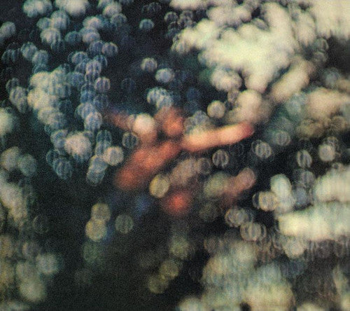 the album cover for Pink Floyd - Obscured By Clouds