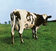 the album cover for Pink Floyd - Atom Heart Mother