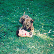 the album cover for Joyce Manor - Cody [Vinyl]