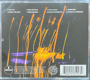 Irreversible Entanglements : Protect Your Light (CD, Album)