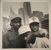 A Tribe Called Quest : The Low End Theory (LP, Gre + LP, Red + Album, Club, RE, RM, RP, Gat)