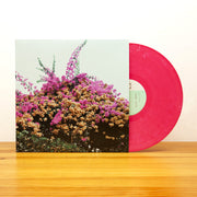 the album cover for Jay Som - Turn Into [Vinyl]
