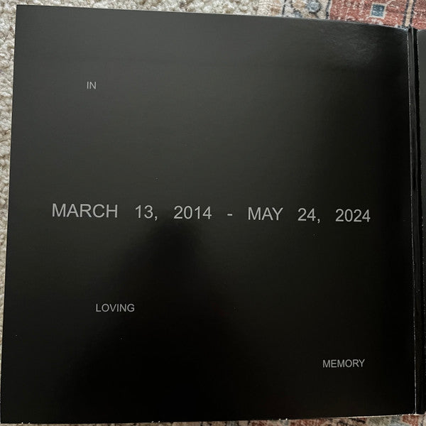 Vince Staples : Dark Times (LP, Album, Ltd, Cle)