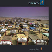 the album cover for Pink Floyd - A Momentary Lapse of Reason [Vinyl]