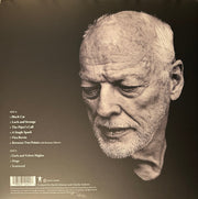 David Gilmour : Luck And Strange (LP, Album, Blu)