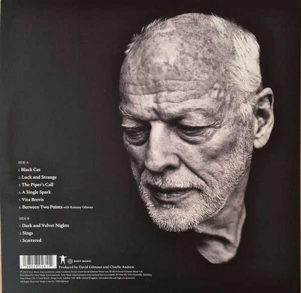 David Gilmour : Luck And Strange (LP, Album)