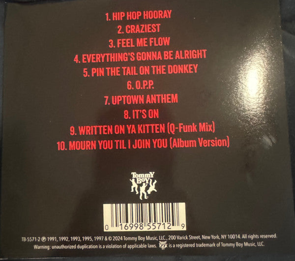 Naughty By Nature : The Naughtiest (CD, Comp)