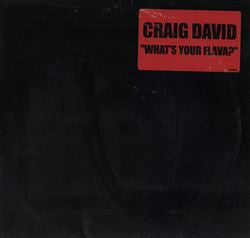 Craig David : What's Your Flava? (12", Promo)