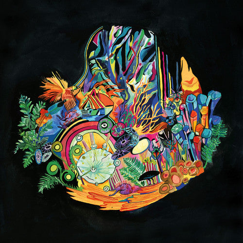the album cover for Kaitlyn Aurelia Smith - Ears [LP]