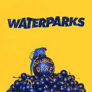 the album cover for Waterparks - Double Dare [LP]