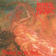 the album cover for Morbid Angel - Blessed Are The Sick [LP]