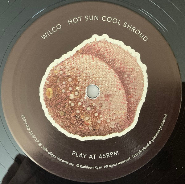 Buy Wilco : Hot Sun Cool Shroud (12
