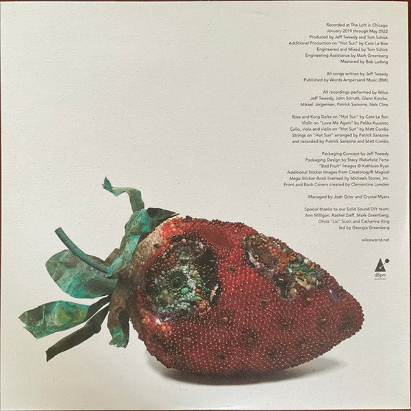 Buy Wilco : Hot Sun Cool Shroud (12