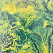 Lettuce (3) : Monorail 3000/Star Children (7", Single, 'Co)