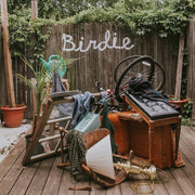 the album cover for Slaughter Beach, Dog - Birdie