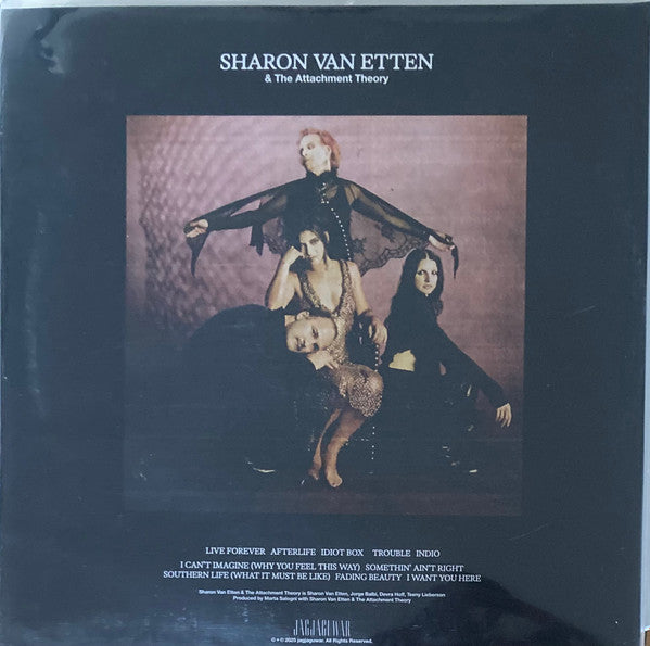 Sharon Van Etten & The Attachment Theory : Sharon Van Etten & The Attachment Theory (LP, Album, Sta)