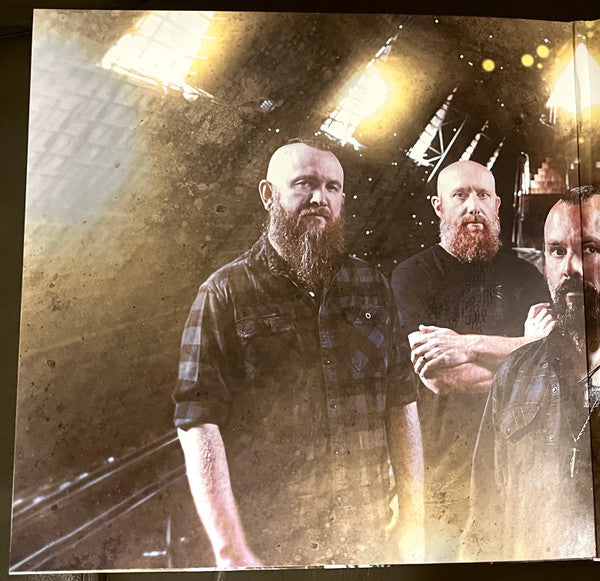 Killswitch Engage : This Consequence (LP, Album, Tan)