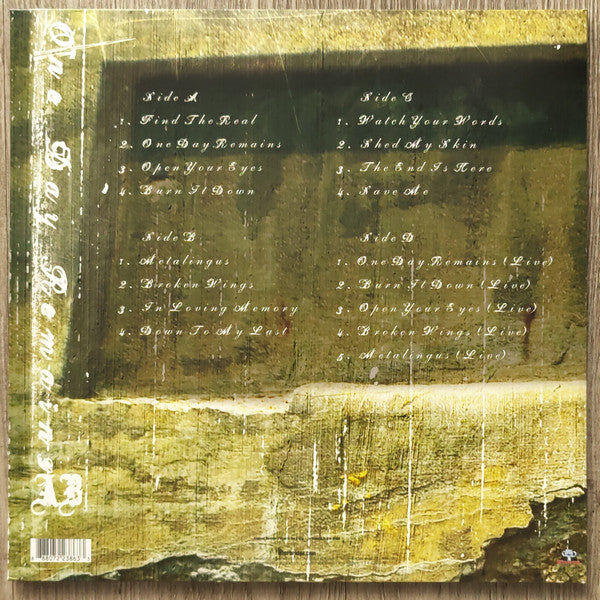 Alter Bridge : One Day Remains (2xLP, Album, Dlx, Ltd, RE, Ele)