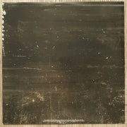 Alter Bridge : One Day Remains (2xLP, Album, Dlx, Ltd, RE, Ele)