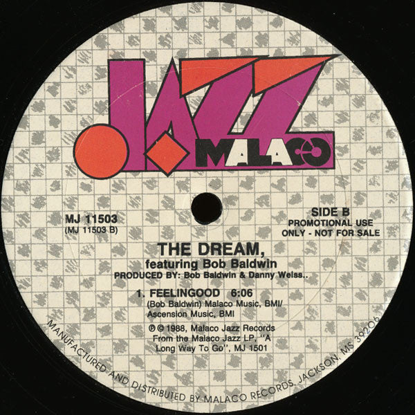 The Dream (9) Featuring Bob Baldwin : Never Knew Love Like This (12", Promo)