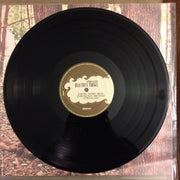 Anthony Green (6) : Beautiful Things (LP, Album)