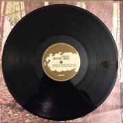 Anthony Green (6) : Beautiful Things (LP, Album)