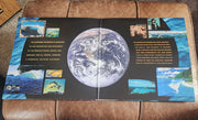 Various : MOM: Music For Our Mother Ocean: Best of (2xLP, RSD, Comp, Ltd, Blu)