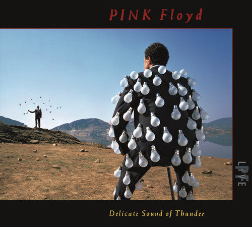 the album cover for Pink Floyd - Delicate Sound Of Thunder (Live)