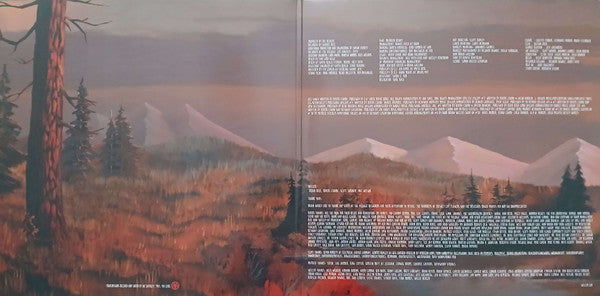 Weezer : Everything Will Be Alright In The End (LP, Album, RE, 180)