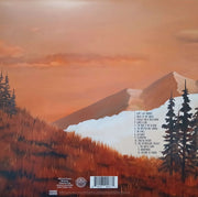 Weezer : Everything Will Be Alright In The End (LP, Album, RE, 180)
