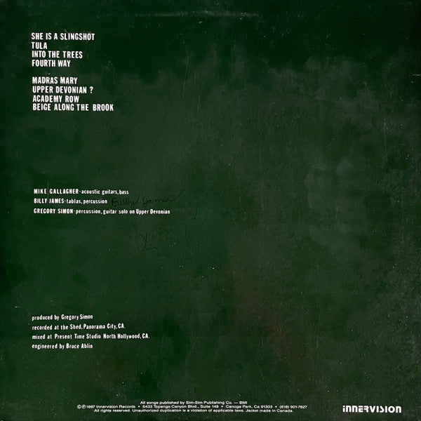 Mike Gallagher (6) : Into The Trees (LP, Album)