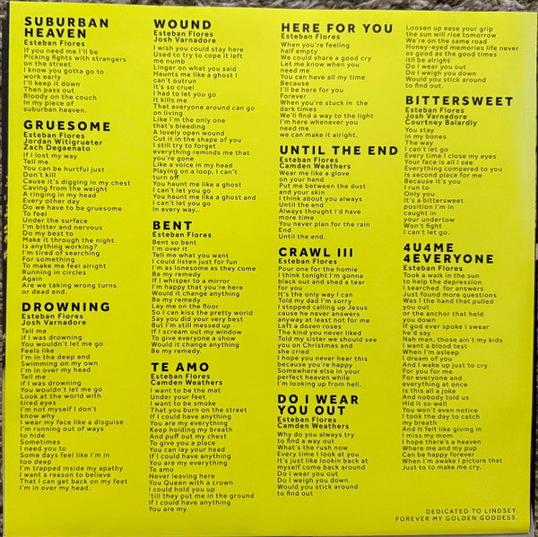 Slow Joy : A Joy So Slow At Times I Don't Think It's Coming (LP, Album)