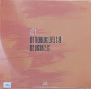 Poison The Well : Trembling Level (12", S/Sided, Single, Ltd, Cle)