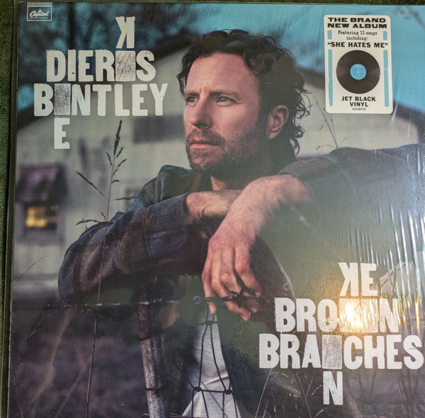 Dierks Bentley : Broken Branches (LP)