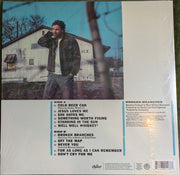 Dierks Bentley : Broken Branches (LP)