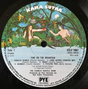The Charlie Daniels Band : Fire On The Mountain (LP, Album)