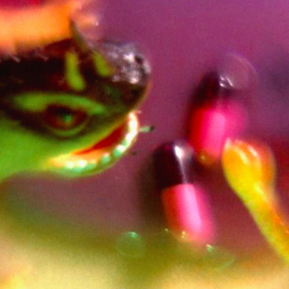 the album cover for Bush Tetras - Take The Fall EP [Vinyl]