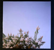 Deftones : Private Music (LP, Album, Ltd, Gre)