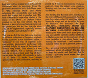 Various : Chilling, Thrilling Hooks And Haunted Harmonies - A Big Stir Records Halloween Grimoire (CD, Comp)
