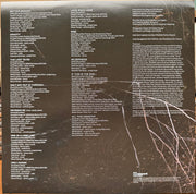 Sarah McLachlan : Better Broken (LP, Album, Ele)