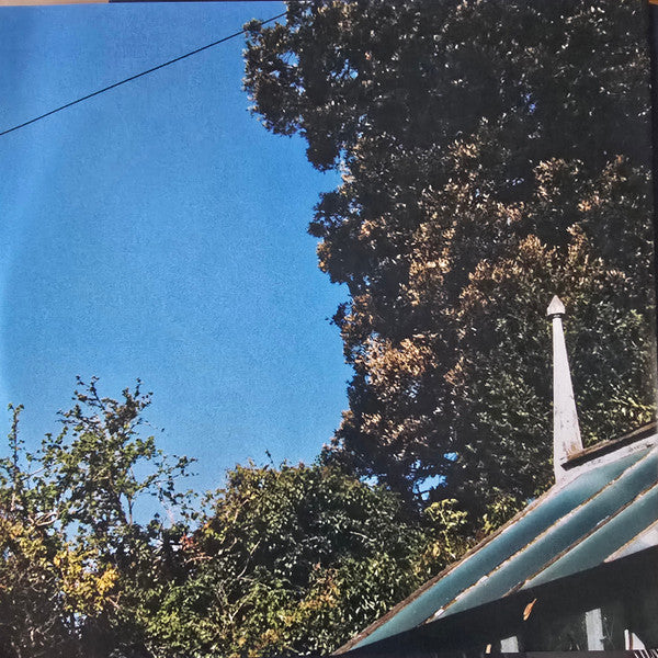 Dug (23) : Have At It!  (LP, Album)