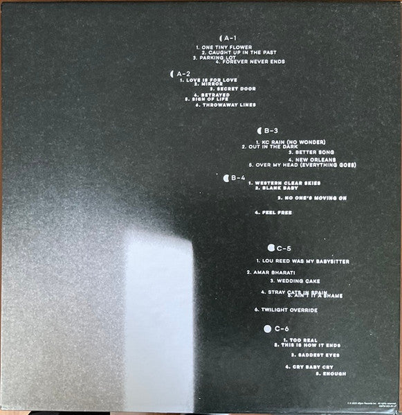 Jeff Tweedy : Twilight Override (3xLP, Album, New + Box)