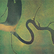 the album cover for Dead Can Dance - The Serpent's Egg [LP]